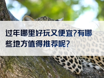 过年哪里好玩又便宜？有哪些地方值得推荐呢？