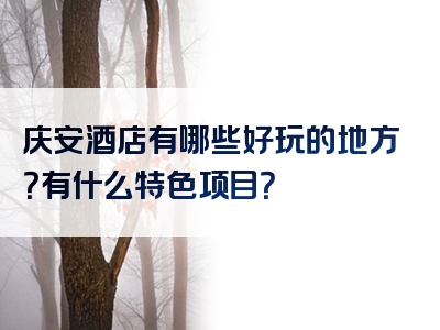 庆安酒店有哪些好玩的地方？有什么特色项目？