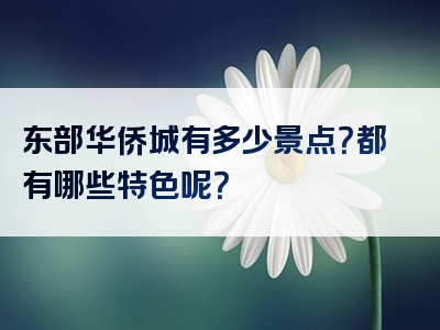 东部华侨城有多少景点？都有哪些特色呢？
