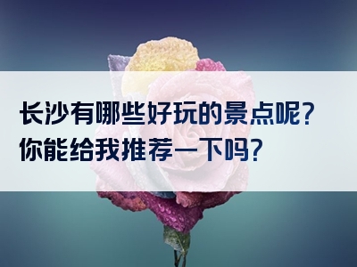 长沙有哪些好玩的景点呢？你能给我推荐一下吗？