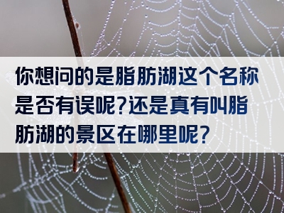 你想问的是脂肪湖这个名称是否有误呢？还是真有叫脂肪湖的景区在哪里呢？
