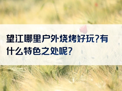 望江哪里户外烧烤好玩？有什么特色之处呢？