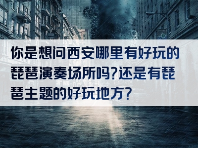 你是想问西安哪里有好玩的琵琶演奏场所吗？还是有琵琶主题的好玩地方？