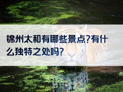 锦州太和有哪些景点？有什么独特之处吗？