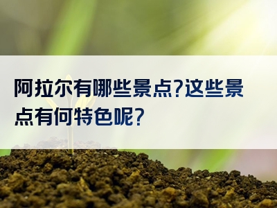 阿拉尔有哪些景点？这些景点有何特色呢？