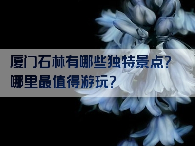 厦门石林有哪些独特景点？哪里最值得游玩？