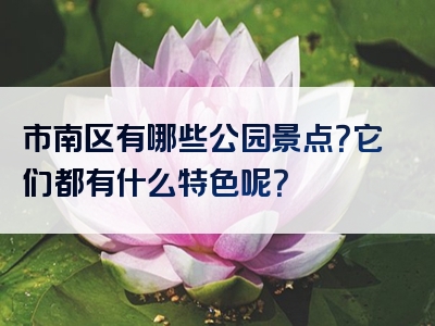 市南区有哪些公园景点？它们都有什么特色呢？