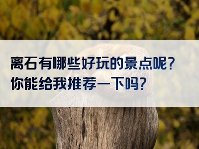 离石有哪些好玩的景点呢？你能给我推荐一下吗？