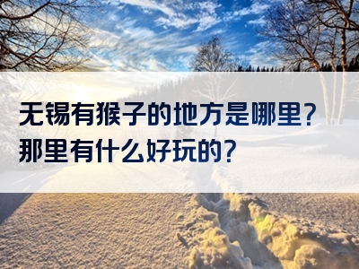 无锡有猴子的地方是哪里？那里有什么好玩的？