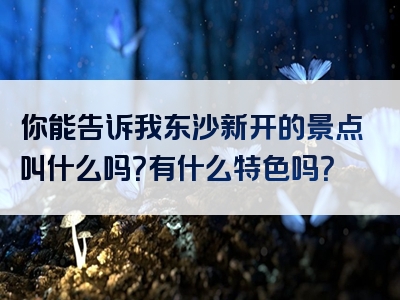 你能告诉我东沙新开的景点叫什么吗？有什么特色吗？