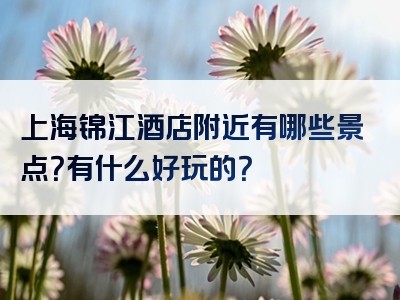 上海锦江酒店附近有哪些景点？有什么好玩的？