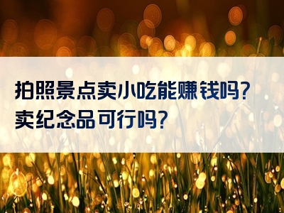 拍照景点卖小吃能赚钱吗？卖纪念品可行吗？