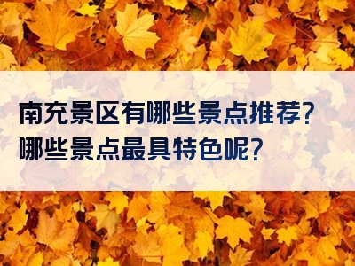 南充景区有哪些景点推荐？哪些景点最具特色呢？