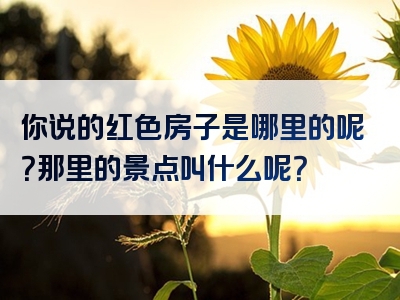 你说的红色房子是哪里的呢？那里的景点叫什么呢？