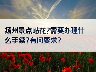 扬州景点贴花？需要办理什么手续？有何要求？