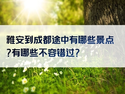 雅安到成都途中有哪些景点？有哪些不容错过？