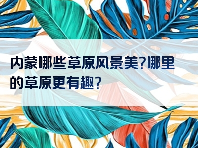 内蒙哪些草原风景美？哪里的草原更有趣？