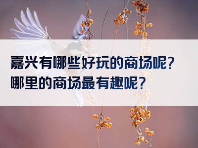 嘉兴有哪些好玩的商场呢？哪里的商场最有趣呢？