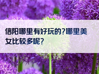 信阳哪里有好玩的？哪里美女比较多呢？