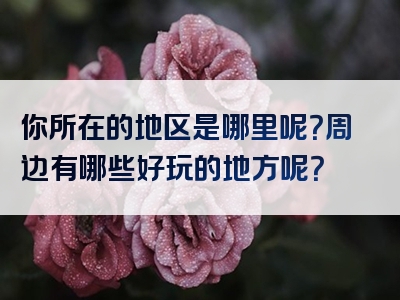 你所在的地区是哪里呢？周边有哪些好玩的地方呢？
