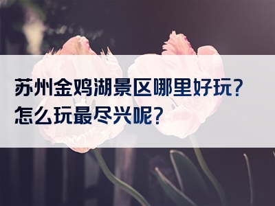 苏州金鸡湖景区哪里好玩？怎么玩最尽兴呢？