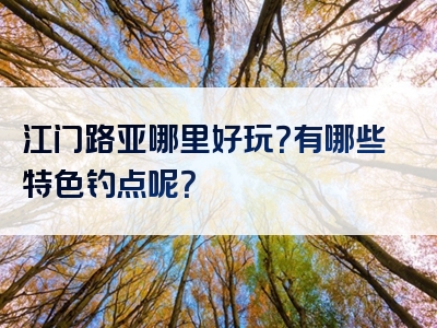 江门路亚哪里好玩？有哪些特色钓点呢？