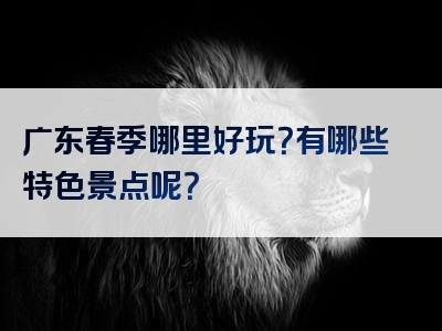 广东春季哪里好玩？有哪些特色景点呢？