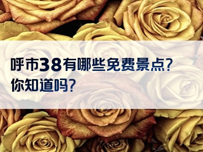 呼市38有哪些免费景点？你知道吗？
