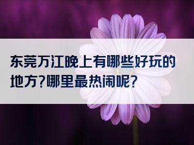 东莞万江晚上有哪些好玩的地方？哪里最热闹呢？