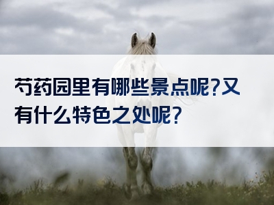 芍药园里有哪些景点呢？又有什么特色之处呢？