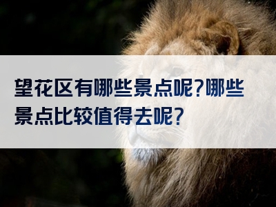 望花区有哪些景点呢？哪些景点比较值得去呢？