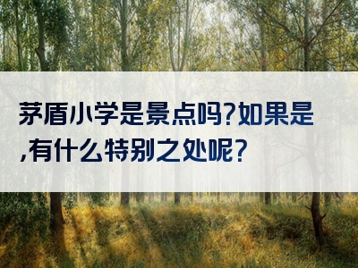 茅盾小学是景点吗？如果是，有什么特别之处呢？