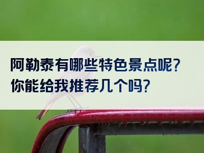 阿勒泰有哪些特色景点呢？你能给我推荐几个吗？