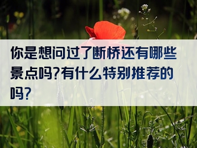 你是想问过了断桥还有哪些景点吗？有什么特别推荐的吗？
