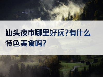 汕头夜市哪里好玩？有什么特色美食吗？
