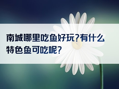 南城哪里吃鱼好玩？有什么特色鱼可吃呢？