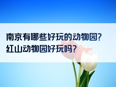南京有哪些好玩的动物园？红山动物园好玩吗？