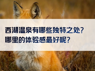 西湖温泉有哪些独特之处？哪里的体验感最好呢？