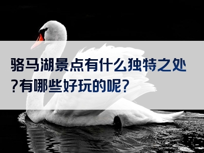 骆马湖景点有什么独特之处？有哪些好玩的呢？