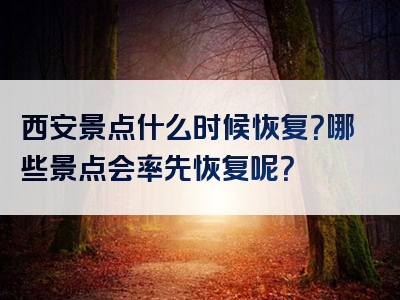 西安景点什么时候恢复？哪些景点会率先恢复呢？