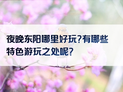 夜晚东阳哪里好玩？有哪些特色游玩之处呢？