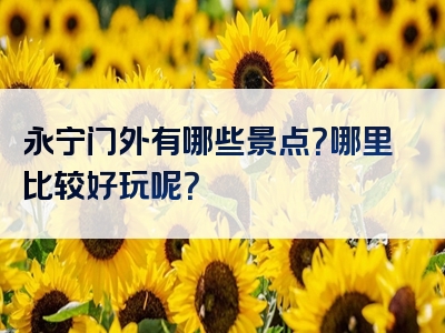 永宁门外有哪些景点？哪里比较好玩呢？