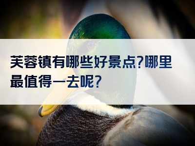 芙蓉镇有哪些好景点？哪里最值得一去呢？
