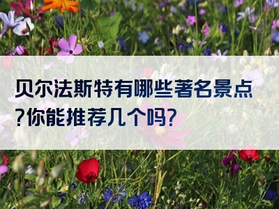 贝尔法斯特有哪些著名景点？你能推荐几个吗？