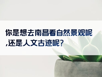 你是想去南昌看自然景观呢，还是人文古迹呢？