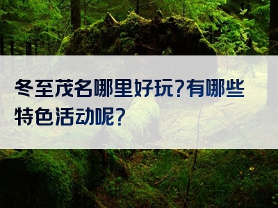 冬至茂名哪里好玩？有哪些特色活动呢？