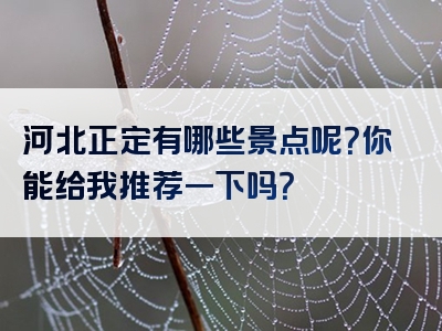 河北正定有哪些景点呢？你能给我推荐一下吗？