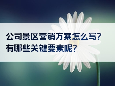 公司景区营销方案怎么写？有哪些关键要素呢？