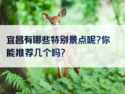 宜昌有哪些特别景点呢？你能推荐几个吗？