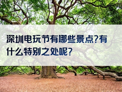 深圳电玩节有哪些景点？有什么特别之处呢？